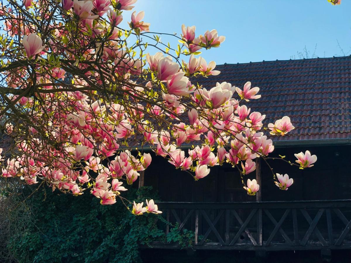 Landhaus Riedl 바트푸징 외부 사진